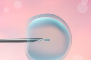 DOCTORA IRENE MATARRANZ. Centro de Fertilidad, Infertilidad y Esterilidad