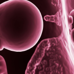 en que consiste la embriodonacion