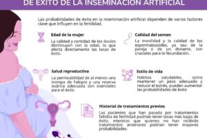 factores porcentaje exito inseminacion artificial