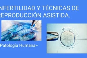 iFertility – Reproducción Asistida