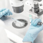 IGIN – Donación de óvulos Bilbao