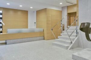 Instituto Bernabeu Madrid