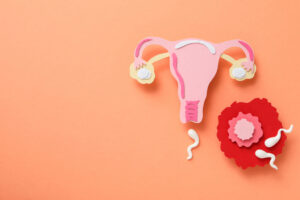 María Hernando – Embrióloga