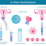 fecundación in vitro y cancer de mama