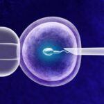 Segrelles IVF / Reproducción asistida