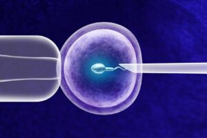 Segrelles IVF / Reproducción asistida